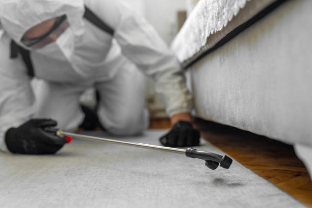 Professional Bed Bug Control technician working in Radford city County, VA